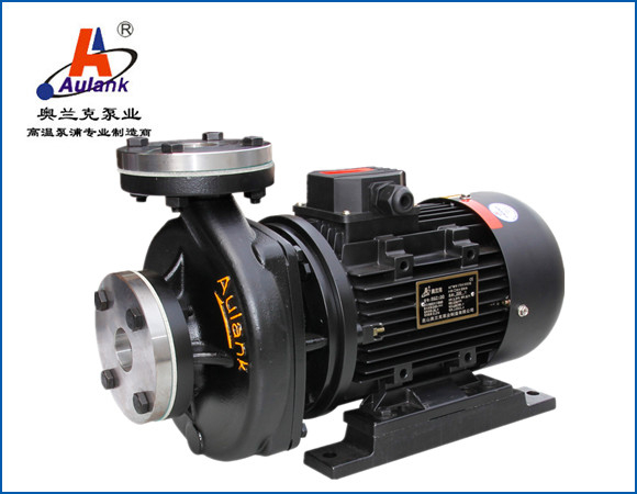 模溫機高溫導熱油循環泵