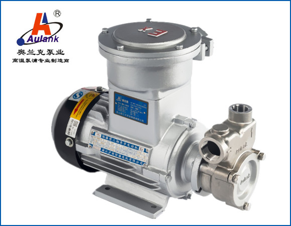 不銹鋼防爆型高溫循環(huán)泵